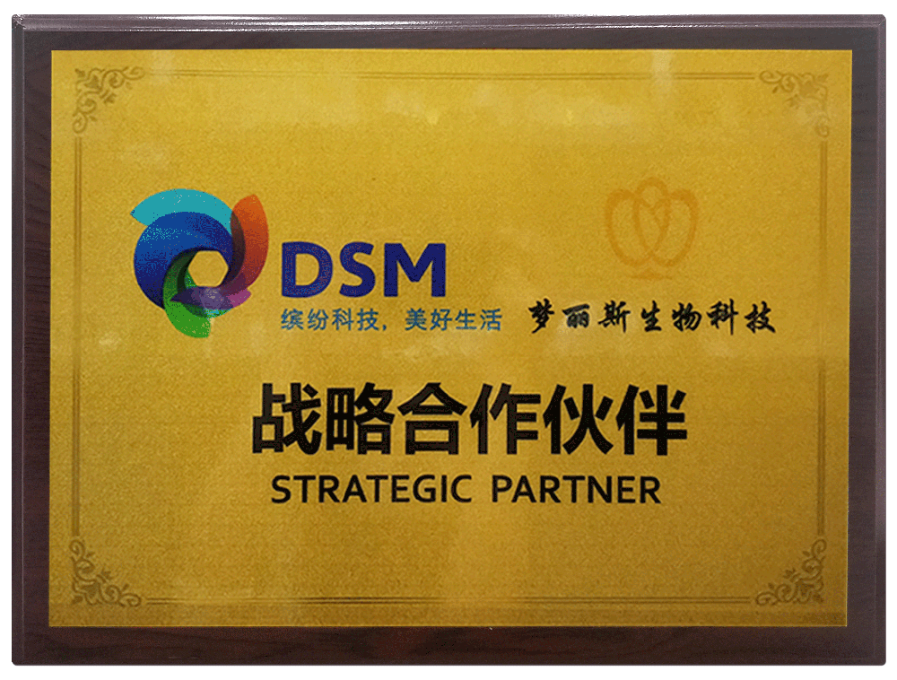 DSM（帝斯曼）战略合作伙伴